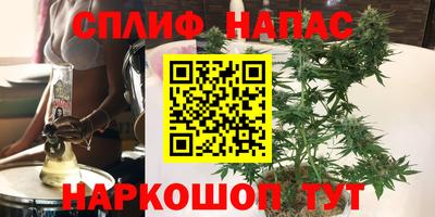 стаф Будённовск