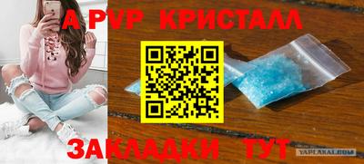 стаф Будённовск