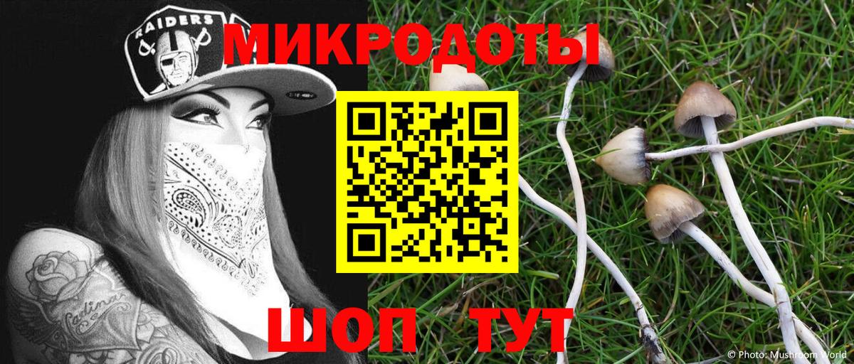 Галлюциногенные грибы GOLDEN TEACHER Красноуфимск